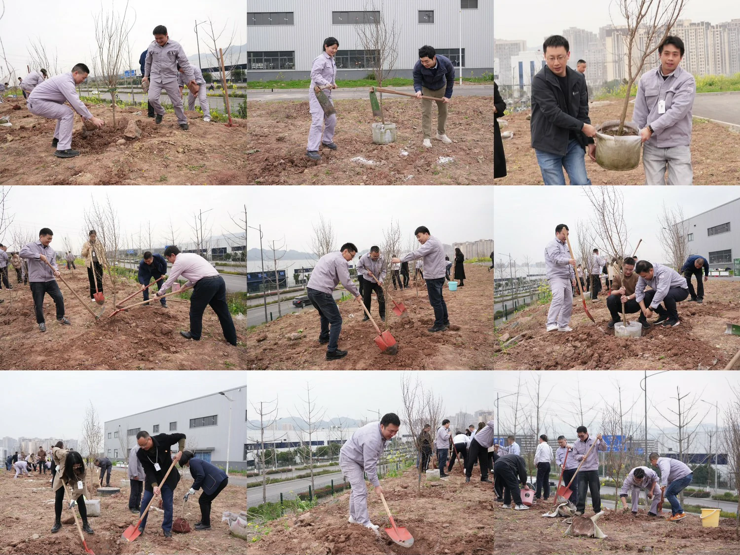  动力BU举办&ldquo;植服务之树、育业绩之冠&rdquo;植树节主题活动